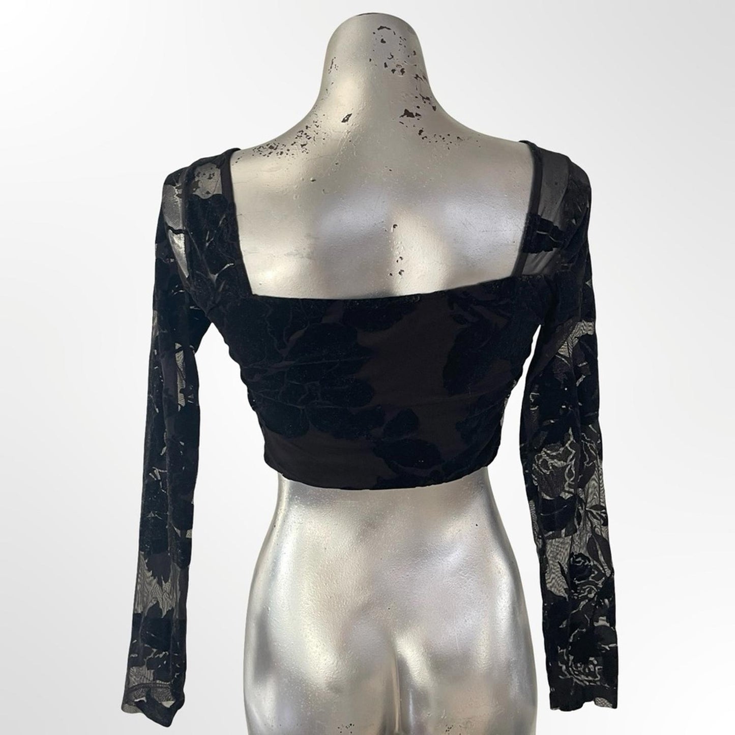 Fashion Nova Floral Velvet Burnout Square-Neck Crop Top