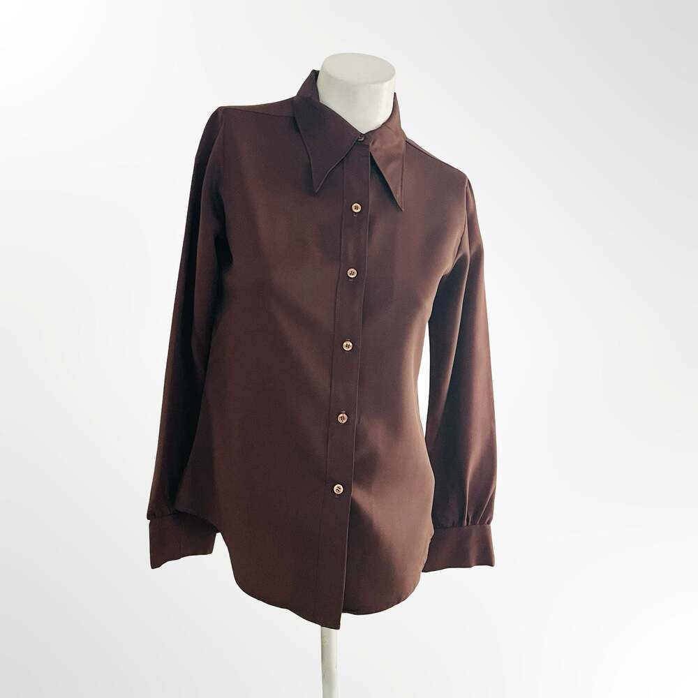 Vintage 70s Lady Arrow Brown Long Sleeve Button Down Shirt Polyester